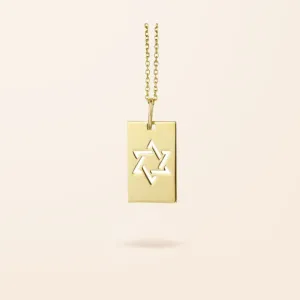 14K Gold Star Of David Dog Tag Necklace