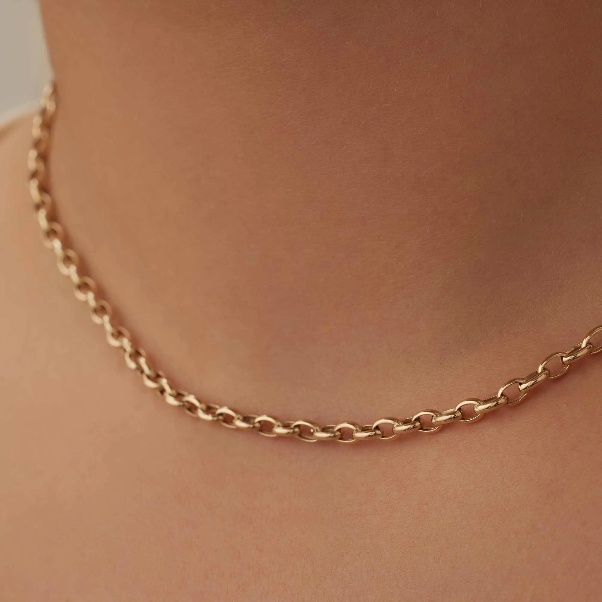 Aidee Camille 14 karat gold link necklace