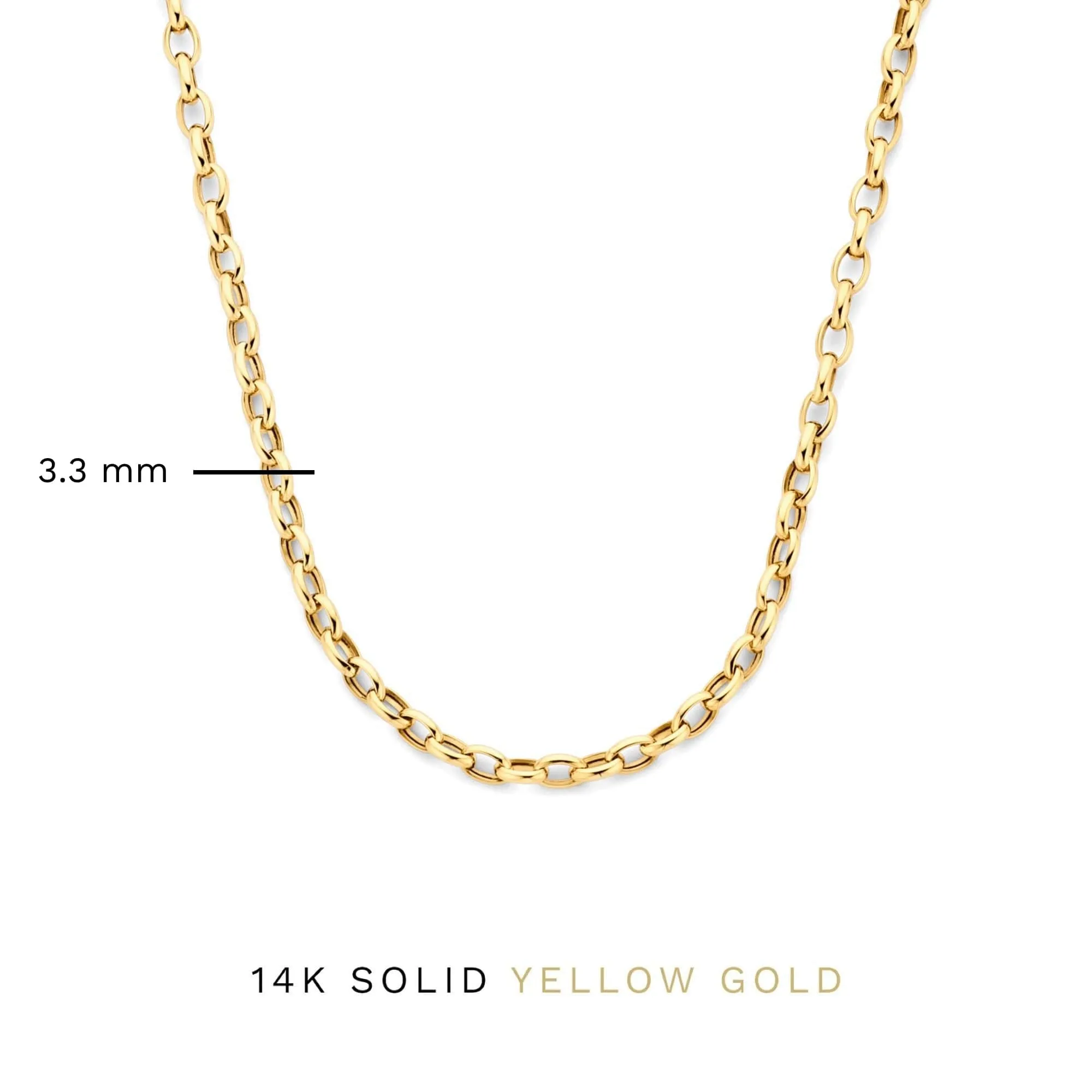 Aidee Camille 14 karat gold link necklace