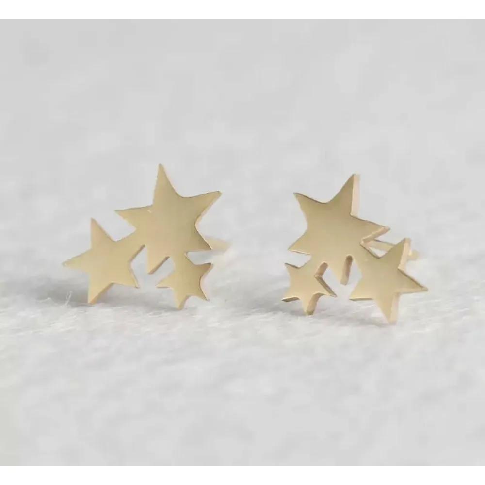 Amira Stainless Steel Studs