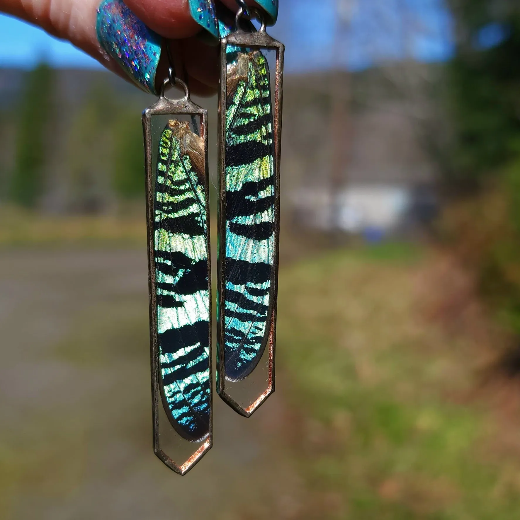 Teal Sunset Moth Ingress Earrings